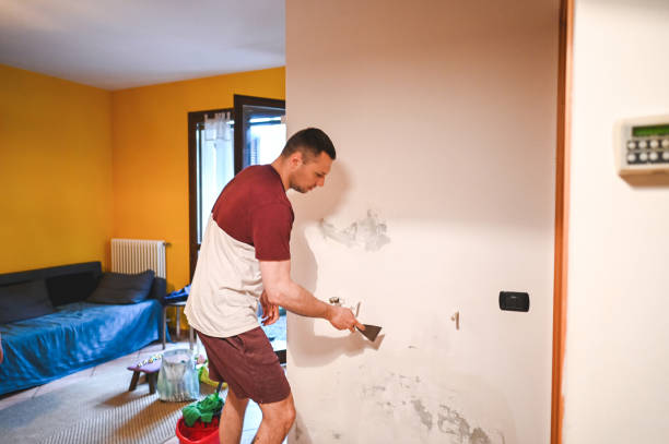 Best Mold Remediation Experts  in Trent Woods, NC