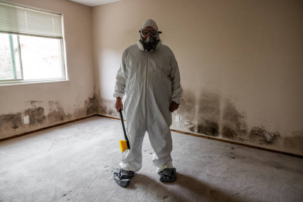Best Mold Cleaning Services  in Trent Woods, NC